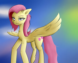 Size: 1276x1025 | Tagged: safe, artist:guatergau5, imported from derpibooru, fluttershy, pegasus