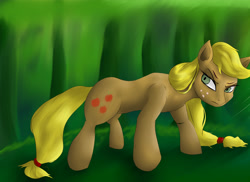 Size: 4677x3402 | Tagged: safe, artist:guatergau5, imported from derpibooru, applejack, earth pony, pony, female, solo