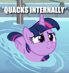 Size: 544x576 | Tagged: safe, edit, edited screencap, imported from derpibooru, screencap, twilight sparkle, alicorn, duck, duck pony, pony, deep tissue memories, spoiler:deep tissue memories, behaving like a duck, c:, caption, cropped, cute, female, folded wings, image macro, lidded eyes, looking up, mare, meme, pegaduck, smiling, solo, swimming, text, twiabetes, twilight duckle, twilight sparkle (alicorn), water, wings, x internally