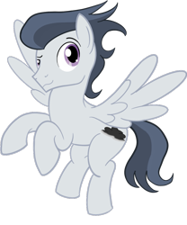 Size: 1000x1200 | Tagged: safe, artist:sixes&sevens, imported from derpibooru, rumble, pegasus, pony, cutie mark, digital art, flying, looking at you, male, older, older rumble, simple background, solo, stallion, tail, transparent background, wings