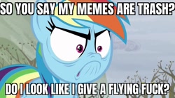 Size: 1280x720 | Tagged: safe, edit, edited screencap, imported from derpibooru, screencap, rainbow dash, pegasus, pony, tanks for the memories, caption, do i look angry, female, image macro, meme, solo, text, vulgar