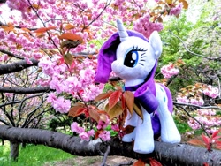 Size: 2080x1560 | Tagged: safe, imported from derpibooru, photographer:pakapaka1993, rarity, pony, cherry blossoms, flower, flower blossom, irl, japan, photo, plushie, solo