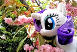 Size: 2048x1383 | Tagged: safe, imported from derpibooru, photographer:pakapaka1993, rarity, pony, cherry blossoms, flower, flower blossom, irl, japan, photo, plushie, solo