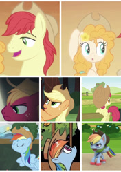 Size: 750x1067 | Tagged: safe, idw, imported from derpibooru, screencap, apple bloom, applejack, big macintosh, bright mac, pear butter, rainbow dash, pony, bloom and gloom, my little pony: stop motion short, swarm of the century, the last roundup, the perfect pear, triple pony dare ya, applejack's hat, cowboy hat, female, g4.5, hat, implied appledash, implied lesbian, implied shipping, stop motion, tallulah