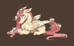 Size: 2200x1360 | Tagged: safe, artist:olivecow, imported from derpibooru, fluttershy, pegasus, pony, female, floppy ears, flower, flower in hair, flower in tail, folded wings, hair over one eye, long mane, long tail, mare, missing cutie mark, prone, redesign, simple background, smiling, solo, stray strand, wings