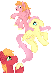 Size: 2059x2912 | Tagged: safe, artist:bewarethemusicman, imported from derpibooru, big macintosh, fluttershy, oc, oc:little darlin', pony, crying, family, female, fluttermac, flying, flying lesson, liquid pride, male, offspring, parent:big macintosh, parent:fluttershy, parents:fluttermac, shipping, simple background, straight, teary eyes, white background