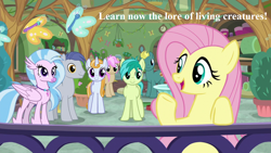 Size: 1280x720 | Tagged: safe, edit, edited screencap, imported from derpibooru, screencap, end zone, fluttershy, sandbar, silverstream, slate sentiments, strawberry scoop, summer meadow, butterfly, marks for effort, cute, diastreamies, friendship student, jewelry, lord of the rings, lore of living creatures, necklace, sandabetes, school of friendship, shyabetes, slateabetes, speech, talking, the two towers, tolkien