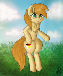 Size: 2500x3000 | Tagged: safe, artist:sorajona, imported from derpibooru, oc, oc only, oc:sunny rain, earth pony, pony, chest fluff, chestfluff, cloud, cute, female, floating, full body, fullbody, grass, leaves, mare, nature, shading, sky, smiling, solo