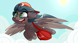 Size: 3000x1656 | Tagged: safe, artist:nekro-led, imported from derpibooru, oc, oc only, oc:five star, pegasus, pony, bag, cap, cloud, courier, cute, delivery pony, female, flying, hat, mare, markings, open mouth, shading, solo