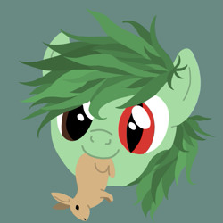 Size: 525x525 | Tagged: safe, artist:catpone cerberus, imported from derpibooru, oc, oc only, oc:mwana wamsitu, rabbit, animal, avatar, forest pony, heterochromia, male, solo, stallion