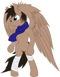 Size: 5898x7605 | Tagged: safe, artist:nero-narmeril, imported from derpibooru, oc, oc only, pegasus, pony, absurd resolution, bipedal, male, simple background, solo, stallion, transparent background