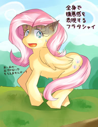 Size: 724x937 | Tagged: safe, artist:araiiara123, imported from derpibooru, fluttershy, pony, female, japanese, solo