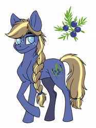 Size: 3444x4608 | Tagged: safe, artist:celestial-rainstorm, imported from derpibooru, oc, oc only, oc:juniper berry, earth pony, pony, blind, female, mare, offspring, parent:applejack, parent:oc:ash bark, parents:canon x oc, simple background, solo, white background