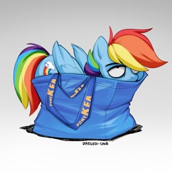 Size: 1280x1280 | Tagged: safe, artist:zazush-una, imported from derpibooru, rainbow dash, pegasus, pony, backwards cutie mark, bag, behaving like a cat, explicit source, female, folded wings, if i fits i sits, ikea, mare, pony in a bag, ponykea, rainbow dash is not amused, shopping bag, shopping bags, solo, unamused, wings