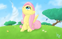 Size: 1920x1200 | Tagged: safe, artist:sameasusual, imported from derpibooru, fluttershy, bird, pegasus, pony, cute, female, flower, implied rainbow dash, looking up, mare, rainbow trail, shyabetes, sitting, sky, solo, tree