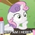 Size: 500x500 | Tagged: safe, edit, edited screencap, imported from derpibooru, screencap, sweetie belle, pony, ponyville confidential, caption, cropped, exploitable meme, female, image macro, meme, obligatory pony, solo, sudden clarity sweetie belle, text
