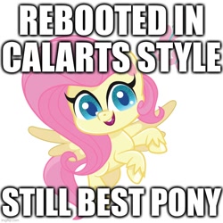 Size: 700x700 | Tagged: safe, imported from derpibooru, fluttershy, pegasus, pony, my little pony: pony life, best pony, calarts, calarts smile, caption, g4.5, image macro, reboot, reboot series, text