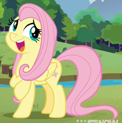 Size: 518x522 | Tagged: safe, imported from derpibooru, screencap, fluttershy, pegasus, pony, memnagerie, spoiler:memnagerie, spoiler:mlp friendship is forever, cropped, female, folded wings, mare, solo, wings