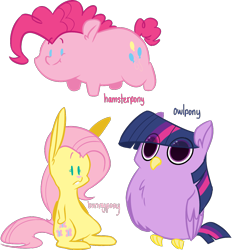 Size: 1250x1346 | Tagged: safe, artist:irontwistfim, imported from derpibooru, fluttershy, pinkie pie, twilight sparkle, bird, hamster, owl, owl pony, rabbit, beady eyes, bunnified, bunnyshy, cute, female, hamsterfied, platter eyes, simple background, species swap, transparent background, trio, twilight sparkowl, wide eyes