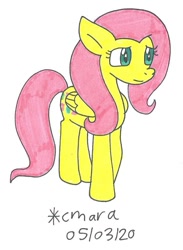 Size: 738x1010 | Tagged: safe, artist:cmara, imported from derpibooru, fluttershy, pegasus, pony, cute, female, mare, shyabetes, solo, traditional art