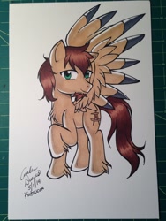 Size: 960x1280 | Tagged: safe, artist:sonicsweeti, imported from derpibooru, oc, oc only, pegasus, pony, commission, cutie mark, male, simple background, stallion, traditional art, white background, wings