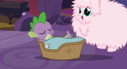 Size: 496x272 | Tagged: safe, artist:mixermike622, imported from derpibooru, spike, oc, oc:fluffle puff, dragon, pony, blanket, covered, cute, duo, flufflebetes, fluffy, pillow, sleeping, spike's bed, to be continued