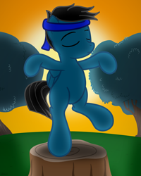 Size: 2643x3300 | Tagged: safe, artist:agkandphotomaker2000, imported from derpibooru, oc, oc only, oc:pony video maker, pegasus, pony, bipedal, crane move, eyes closed, headband, karate kid, male, reference, show accurate, solo, standing, standing on one leg, sunset, tree, tree stump