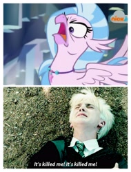 Size: 3106x4096 | Tagged: safe, edit, edited screencap, imported from derpibooru, screencap, silverstream, classical hippogriff, hippogriff, human, what lies beneath, angry, comparison, cute, diastreamies, draco malfoy, faic, harry potter and the prisoner of azkaban