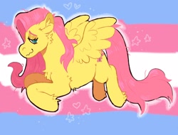 Size: 2332x1773 | Tagged: safe, artist:kittycoot, imported from derpibooru, fluttershy, pegasus, pony, female, flying, heart, lgbt headcanon, pride, pride flag, solo, stars, transgender pride flag