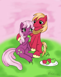 Size: 1024x1300 | Tagged: safe, artist:miflutter, imported from derpibooru, big macintosh, cheerilee, earth pony, pony, apple, cheerimac, female, food, grass, looking at each other, male, shipping, smiling, straight