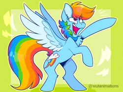 Size: 985x741 | Tagged: safe, artist:wutanimations, imported from derpibooru, rainbow dash, pegasus, pony, abstract background, chest fluff, cute, dashabetes, female, mare, simple background, solo, spread wings, standing, wings