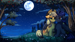 Size: 2920x1642 | Tagged: safe, artist:pridark, imported from derpibooru, applejack, oc, alicorn, earth pony, original species, pony, alicorn oc, apple, apple tree, canon x oc, chest fluff, commission, cottagecore, cowboy hat, cute, duo, flower, full moon, hat, horn, moon, night, night sky, paws, scenery, scenery porn, sitting, sky, stars, stetson, tree, wings