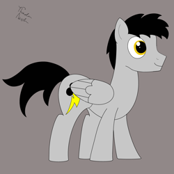 Size: 5000x5000 | Tagged: safe, artist:thunder arch, imported from derpibooru, oc, oc only, oc:thunder arch, pegasus, pony, male, simple background