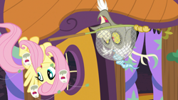 Size: 1920x1080 | Tagged: safe, imported from derpibooru, screencap, discord, fluttershy, draconequus, pegasus, pony, discordant harmony, butterfly net, duo, female, ginseng teabags, male, mare, net, upside down