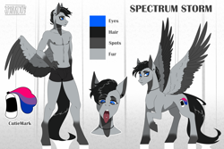 Size: 3000x2000 | Tagged: safe, artist:sparklyon3, imported from derpibooru, oc, oc:spectrum storm, anthro, pegasus, bisexual pride flag, pride, pride flag, reference sheet