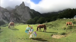 Size: 1229x684 | Tagged: safe, imported from derpibooru, screencap, princess celestia, alicorn, horse, pony, book filled adventure, my little pony: pony life, my little pony: stop motion short, car, g4.5, house, irl, irl horse, live action, mountain, one of these things is not like the others, pasture, photo, stop motion