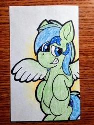 Size: 1920x2560 | Tagged: source needed, safe, artist:thebadbadger, imported from derpibooru, oc, oc only, oc:jade breeze, pegasus, irl, irl photo, pegasus oc, photo, traditional art, wings