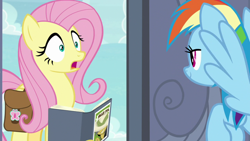 Size: 1920x1080 | Tagged: safe, imported from derpibooru, screencap, daring do, fluttershy, rainbow dash, pegasus, pony, daring doubt, bag, book, holding, looking at each other, saddle bag, shocked