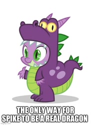 Size: 500x684 | Tagged: safe, imported from derpibooru, spike, dragon, luna eclipsed, abuse, clothes, costume, dragon costume, go to sleep garble, op is a duck, op is a duck but has a point, op is trying to start shit, op is trying to start shit so badly that it's just sad, op is trying too hard, shitposting, spikeabuse