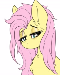 Size: 3277x4096 | Tagged: safe, artist:h0rsefeathers, imported from derpibooru, fluttershy, pegasus, pony, bust, cute, ear fluff, female, messy mane, shyabetes, simple background, sleepy, solo, white background