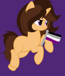 Size: 1460x1707 | Tagged: safe, artist:circuspaparazzi5678, imported from derpibooru, oc, oc only, oc:caramel delite, pony, unicorn, asexual, asexual pride flag, base used, pride, pride flag, pride month, smiling, solo