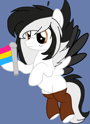 Size: 1376x1904 | Tagged: safe, artist:circuspaparazzi5678, imported from derpibooru, oc, oc only, oc:double stuffed oreo, pegasus, pony, base used, brown socks, clothes, freckles, pansexual, pansexual pride flag, pride, pride flag, pride month, socks, solo