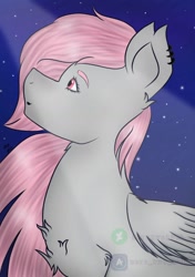 Size: 1400x1988 | Tagged: safe, artist:zerotwo1312, imported from derpibooru, oc, oc only, oc:valentin hundress, pegasus, pony, chest fluff, ear piercing, earring, female, jewelry, looking up, mare, night, pegasus oc, piercing, solo, stars, translation request, watermark, wings