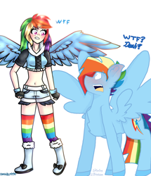 Size: 1392x1616 | Tagged: safe, artist:dashblitz90-fonnie, artist:shinningblossom12, imported from derpibooru, rainbow dash, human, pegasus, pony, blushing, boots, chest fluff, clothes, collaboration, duo, eyelashes, female, fingerless gloves, gloves, human ponidox, humanized, looking at each other, male, open mouth, rainbow blitz, rainbow socks, rule 63, self ponidox, shoes, shorts, simple background, socks, stallion, striped socks, surprised, white background, winged humanization, wings