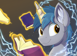 Size: 2000x1448 | Tagged: safe, artist:arcane-thunder, imported from derpibooru, oc, oc only, oc:arcane thunder, pony, unicorn, atg 2020, book, cheek fluff, chest fluff, ear fluff, lightning, magic, male, newbie artist training grounds, scroll, solo, stallion, windswept mane