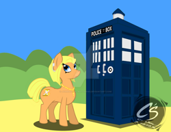 Size: 1024x792 | Tagged: safe, artist:adhiguna, artist:johnathon-matthews, imported from derpibooru, doctor whooves, time turner, earth pony, pony, crossover, deviantart watermark, doctor who, female, jodie whittaker, mare, obtrusive watermark, ponified, solo, tardis, the doctor, thirteenth doctor, watermark