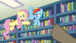 Size: 1920x1080 | Tagged: safe, imported from derpibooru, screencap, doctor caballeron, fluttershy, rainbow dash, daring doubt