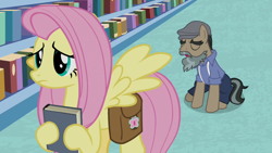 Size: 1920x1080 | Tagged: safe, imported from derpibooru, screencap, doctor caballeron, fluttershy, daring doubt, groom q.q. martingale