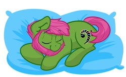 Size: 1572x961 | Tagged: safe, artist:cadetredshirt, imported from derpibooru, oc, oc only, earth pony, pony, beard, commission, digital art, ear fluff, eyes closed, facial hair, green coat, male, pillow, pink hair, sleeping, sleepy, solo, stallion, ych example, ych result, your character here