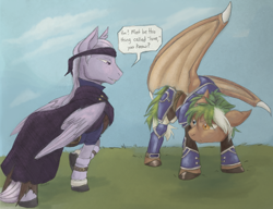 Size: 1990x1532 | Tagged: safe, artist:housho, imported from derpibooru, dracony, dragon, hybrid, pegasus, pony, armor, clothes, dragon wings, fire emblem, fire emblem: the blazing blade, gay, heath, heterochromia, legault, male, ponified, stallion, wings